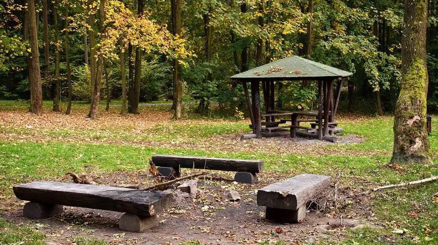 Porubský lesopark – příroda, Ostrava