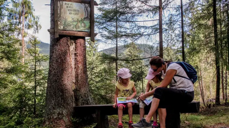 Obrázková stezka Samčanka - Javořinka – příroda, Staré Hamry
