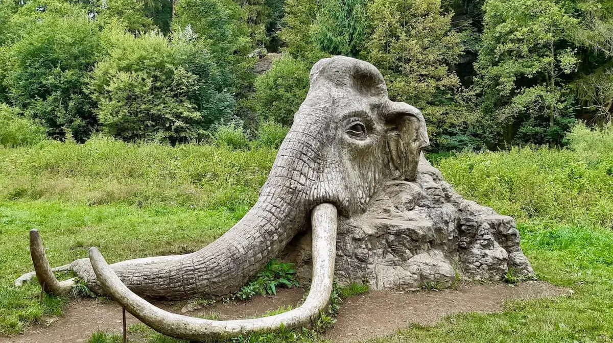 Rozštípená skála a její strážce mamut – příroda, Hamry nad Sázavou