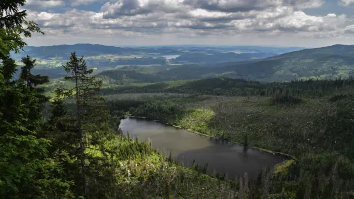 Plešné jezero – příroda, Nová Pec