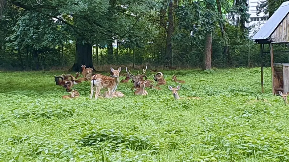 Zámecký park Židlochovice – příroda, Židlochovice