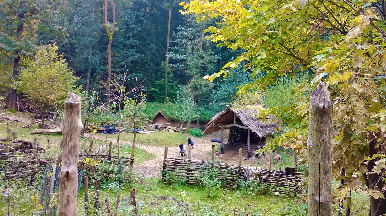 Pravěká osada Křivolík – příroda, Česká Třebová