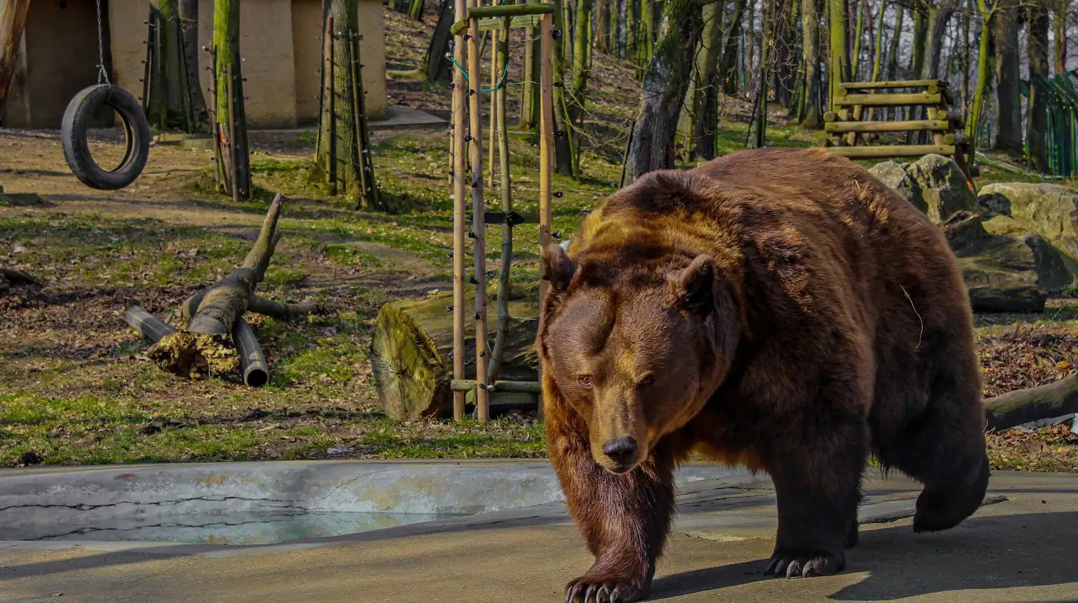 Medvědárium Beroun – zoo a farmy, Beroun