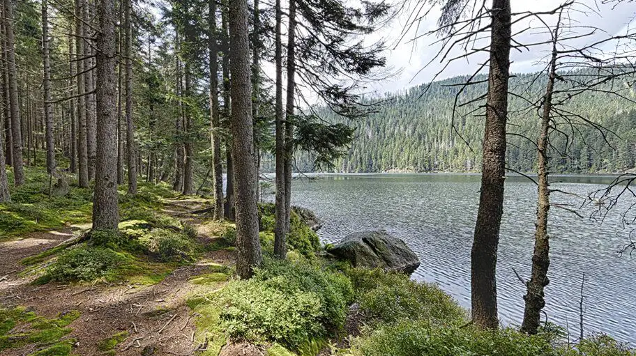 Čertovo jezero – příroda, Železná Ruda