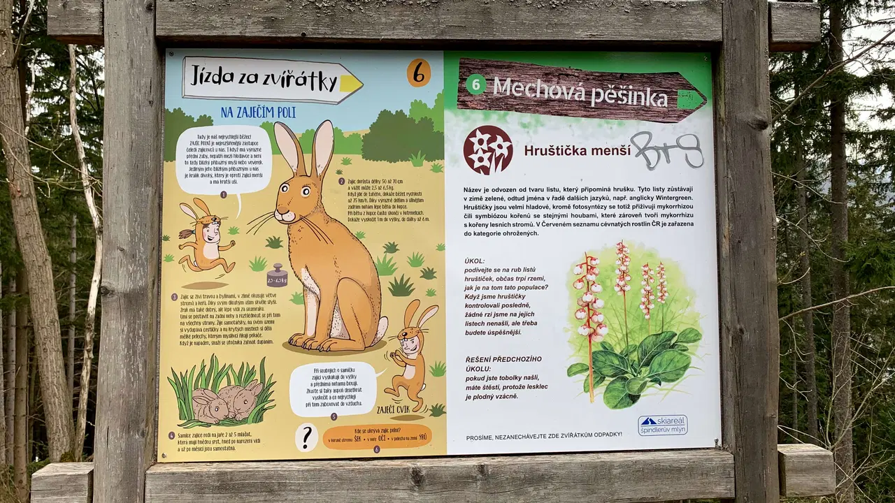 NS Jízda za zvířátky – naučné stezky, Špindlerův Mlýn