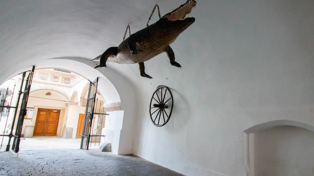 Věž Staré radnice – rozhledny, Brno