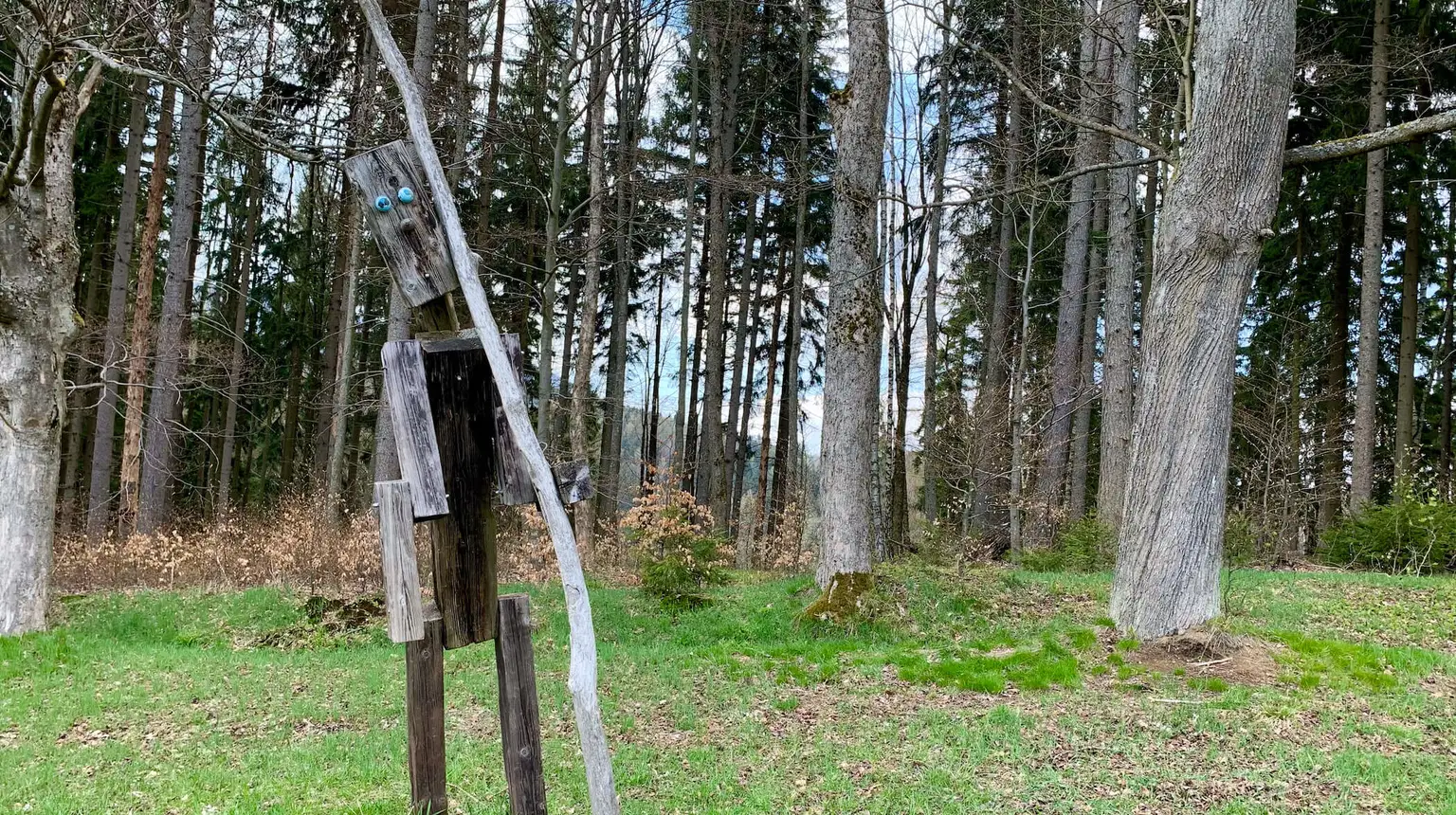 Krakonošova Muchomůrka – naučné stezky, Janské Lázně