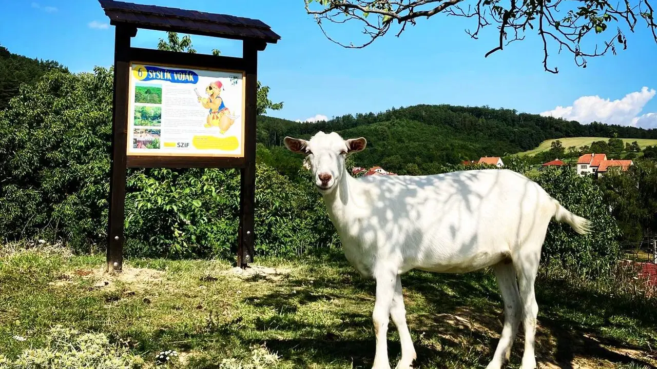 Syslíkova stezka – naučné stezky, Sobůlky