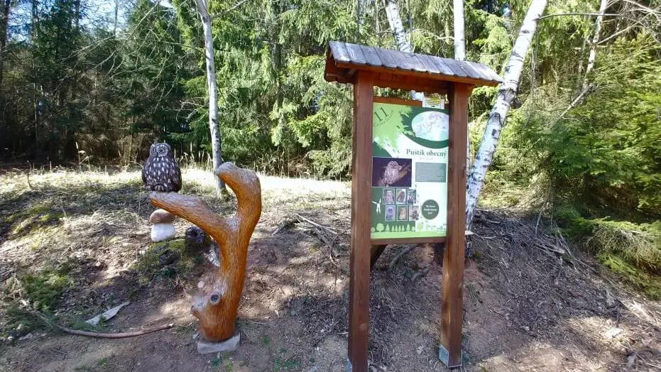 Naučná stezka Dlouhoňovice – naučné stezky, Žamberk