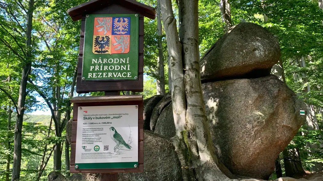 Národní přírodní rezervace Skály v bukovém moři – příroda, Oldřichov v Hájích