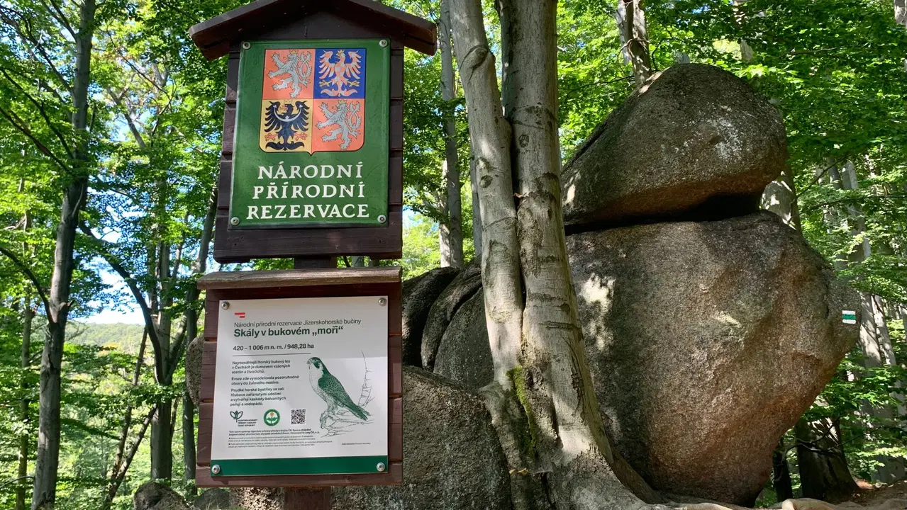 Národní přírodní rezervace Skály v bukovém moři – příroda, Oldřichov v Hájích