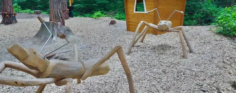 Čarovný les – příroda, Šumperk