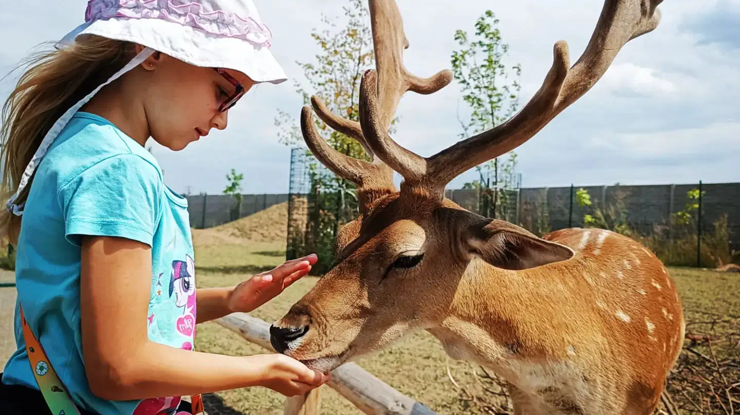 Zoopark Nehvizdy – zoo a farmy, Nehvizdy