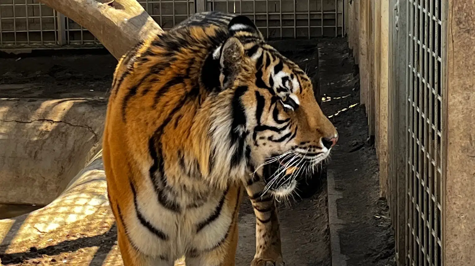 Zoopark Olovnice – zoo a farmy, Olovnice