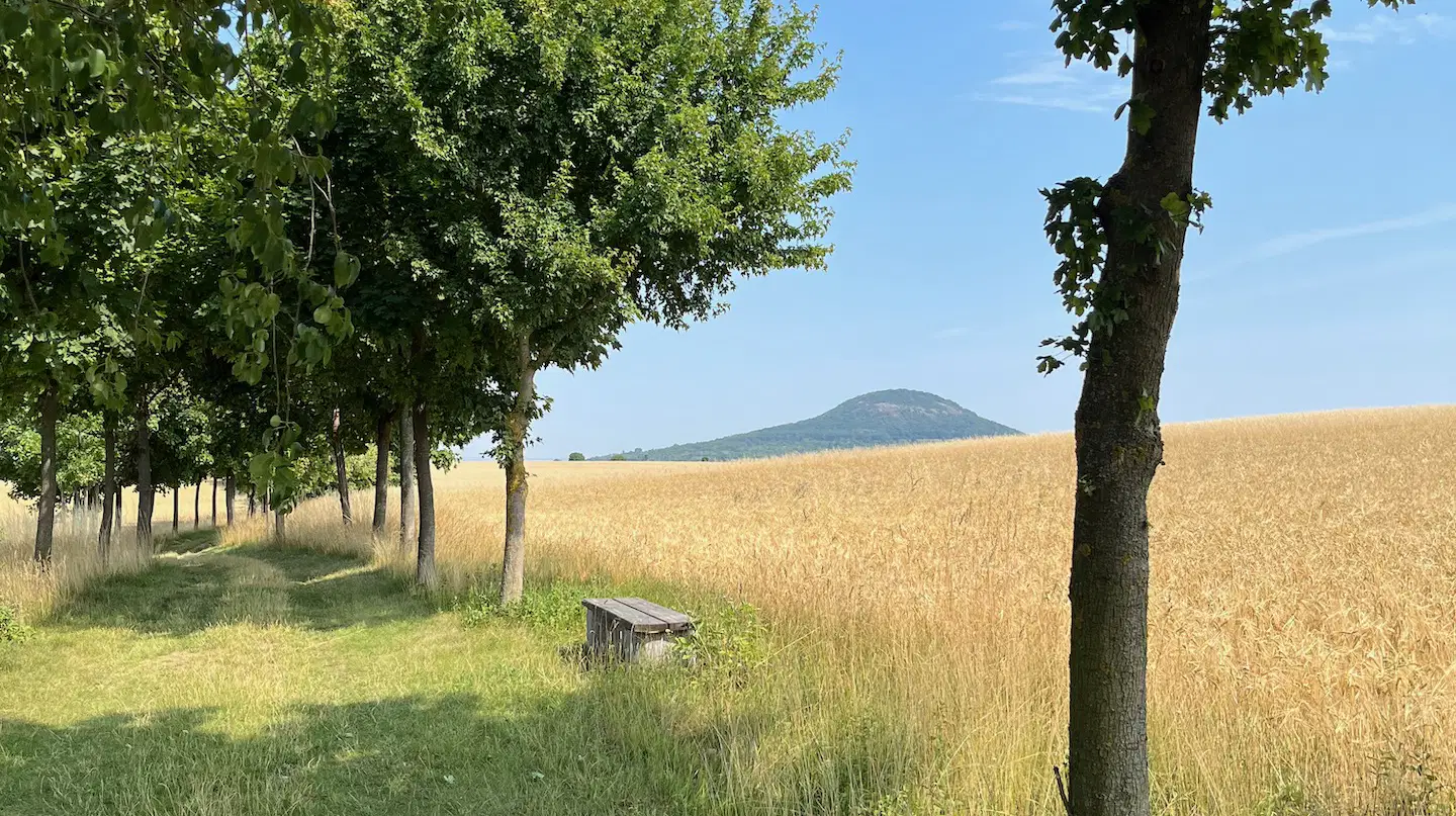 Naučná stezka Praotce Čecha – naučné stezky, Ledčice