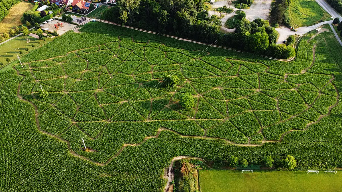 Kukuřičné bludiště Holešov – zážitkové areály, Holešov