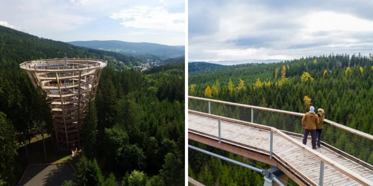 Stezka korunami stromů Krkonoše