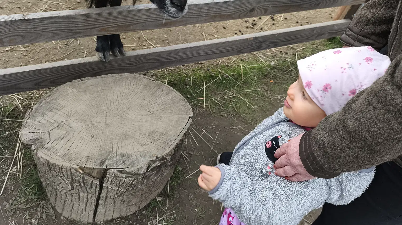 ZOO koutek U Vávrů – zoo a farmy, Nové Heřminovy