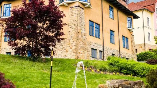 Luxury Spa & Wellness Vila Valaška – vily a rezidence, Luhačovice