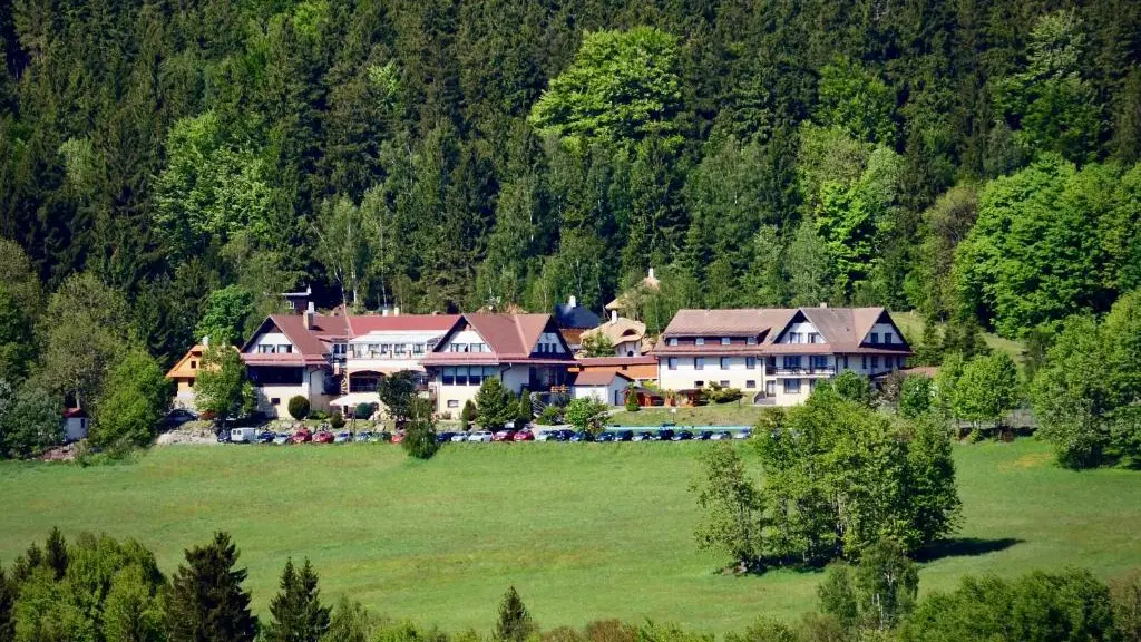 Spa Hotel Podlesí – hotel, Sněžné