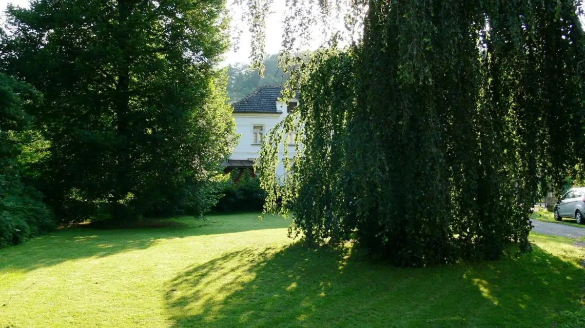 Penzion Továrníkova vila – penzion, Skuhrov nad Bělou