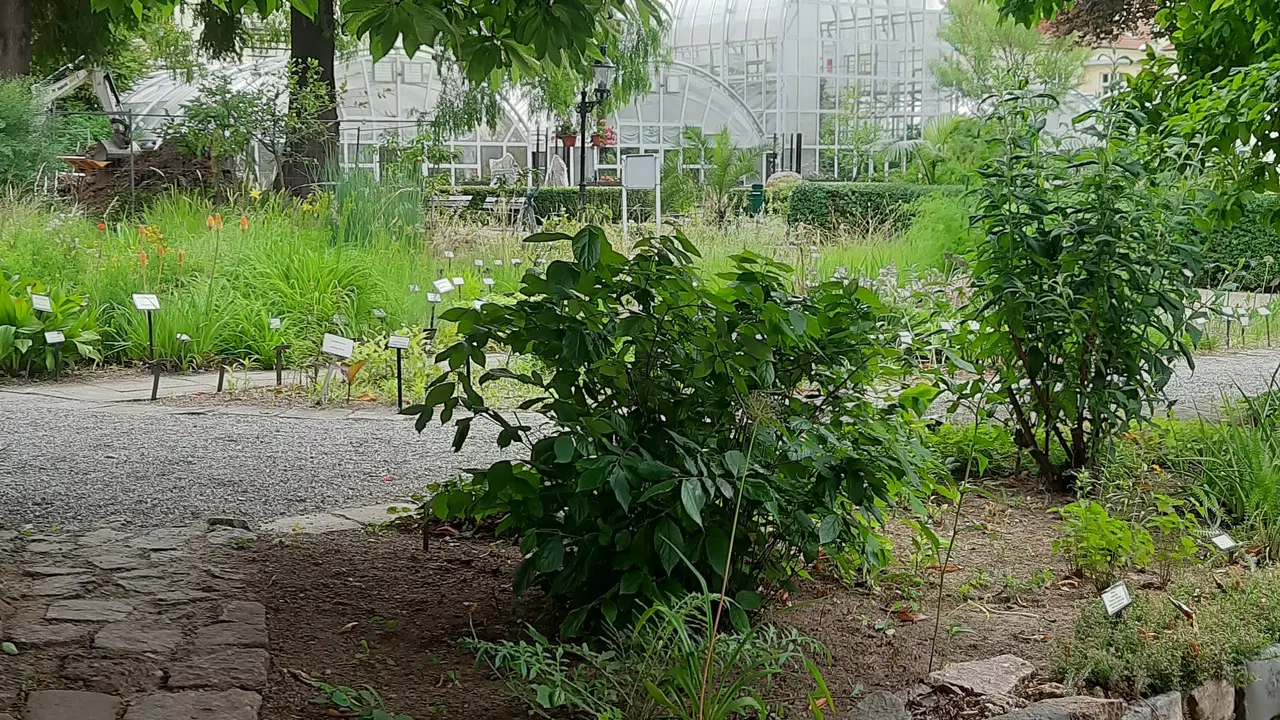 Botanická zahrada Přírodovědecké fakulty Masarykovy univerzity – muzea, Brno