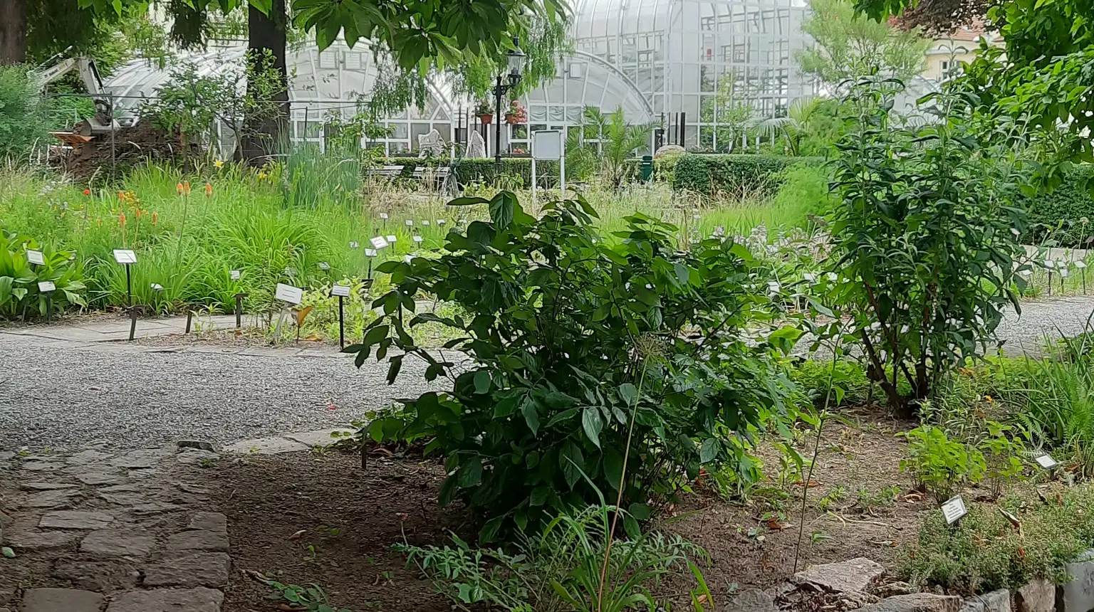 Botanická zahrada Přírodovědecké fakulty Masarykovy univerzity – muzea, Brno