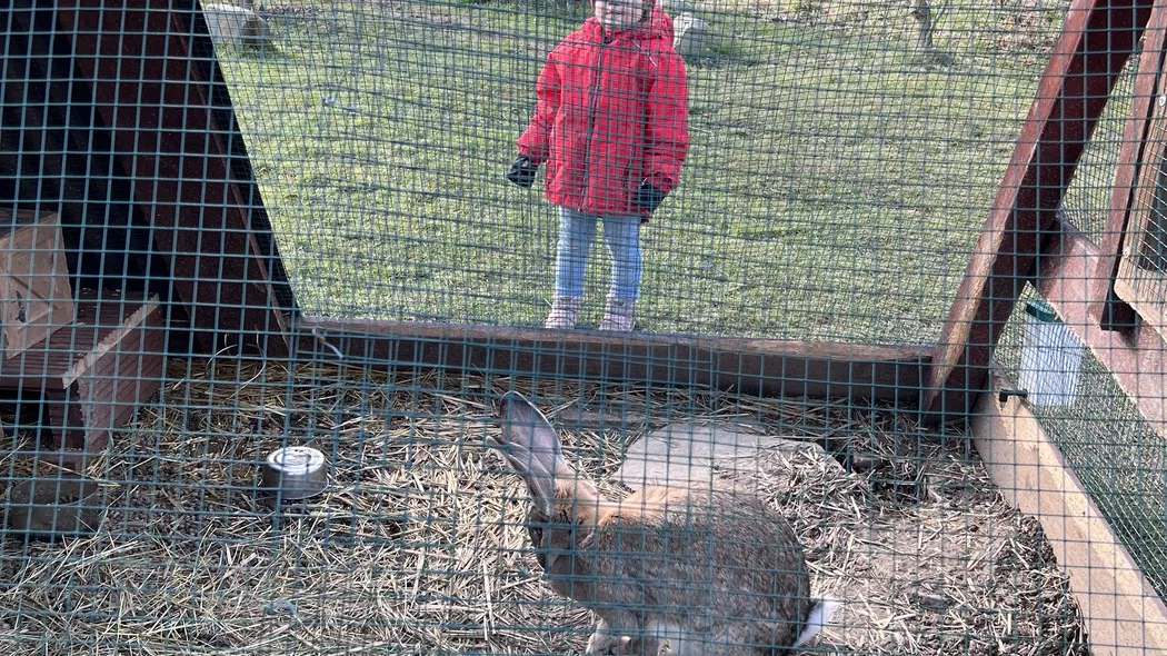Žermanický park – zoo a farmy, Žermanice