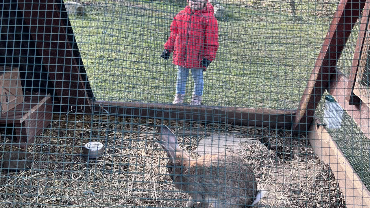 Žermanický park – zoo a farmy, Žermanice