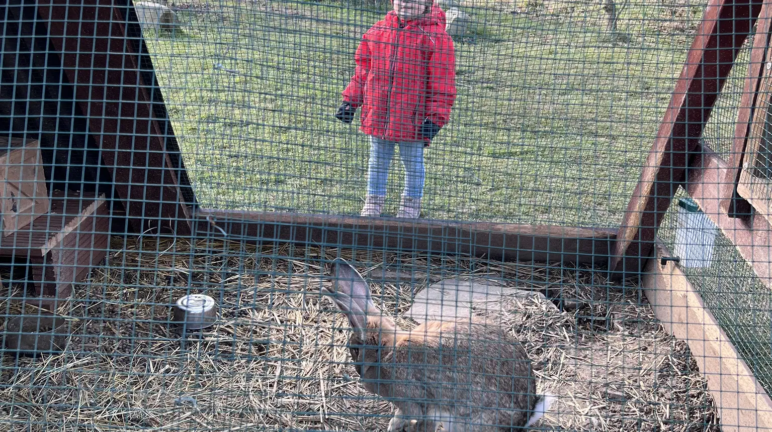 Žermanický park – zoo a farmy, Žermanice
