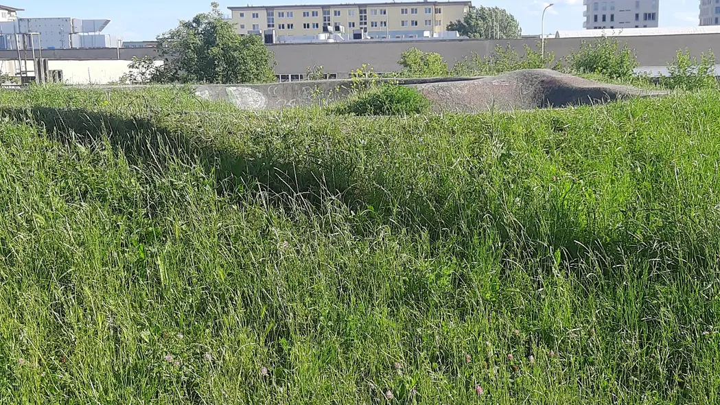 Pumptrack Dusíkova – dětská hřiště a herny, Brno