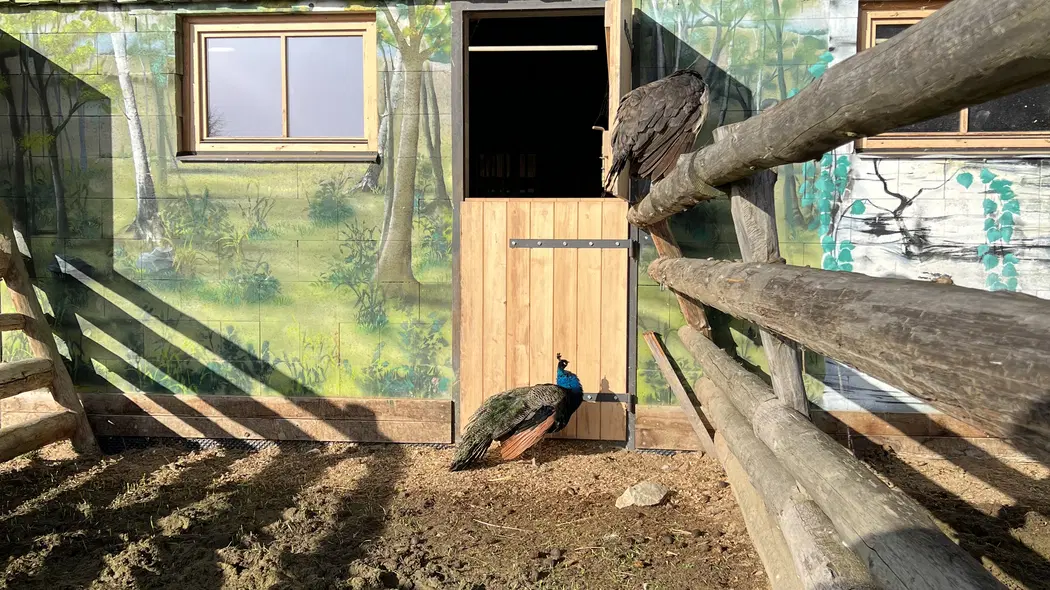 Ranč Telč – zoo a farmy, Telč