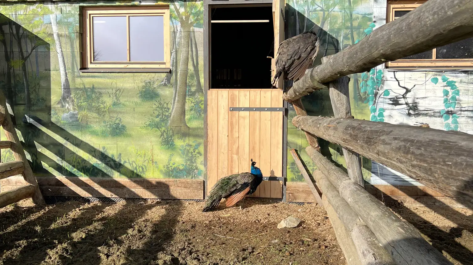 Ranč Telč – zoo a farmy, Telč