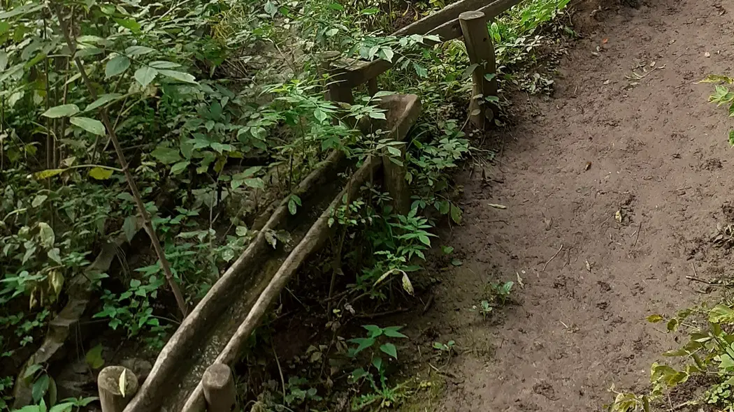 Studánka víly Vrbičky – příroda, Moravany