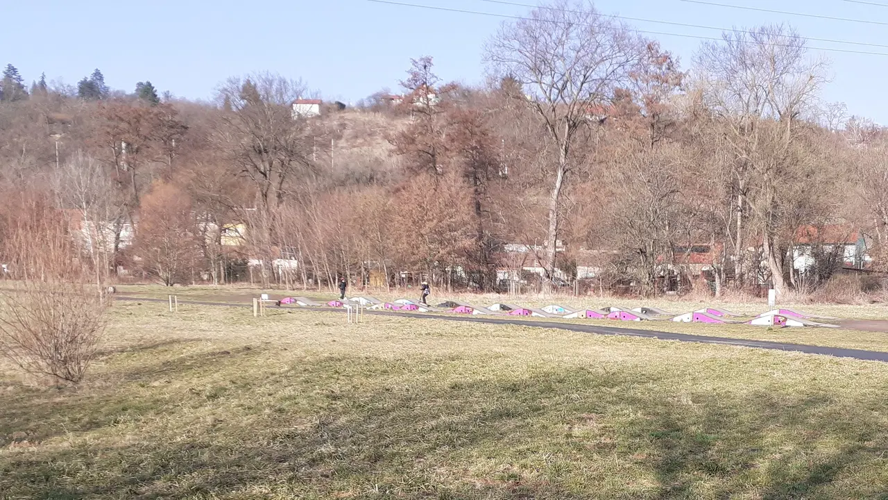 Cacovický ostrov – příroda, Brno
