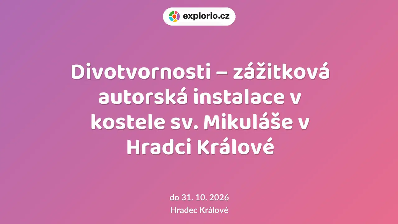 Divotvornosti – zážitková autorská instalace v kostele sv. Mikuláše v Hradci Králové – prohlídky a Muzea, Hradec Králové