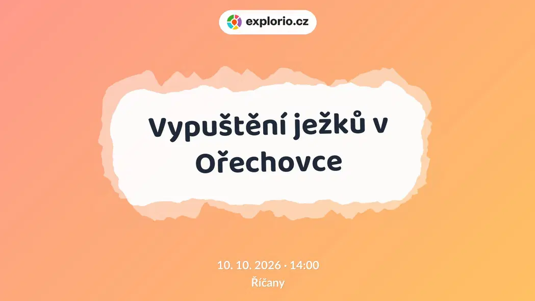 Vypuštění ježků v Ořechovce – příroda a Zvířátka, Říčany