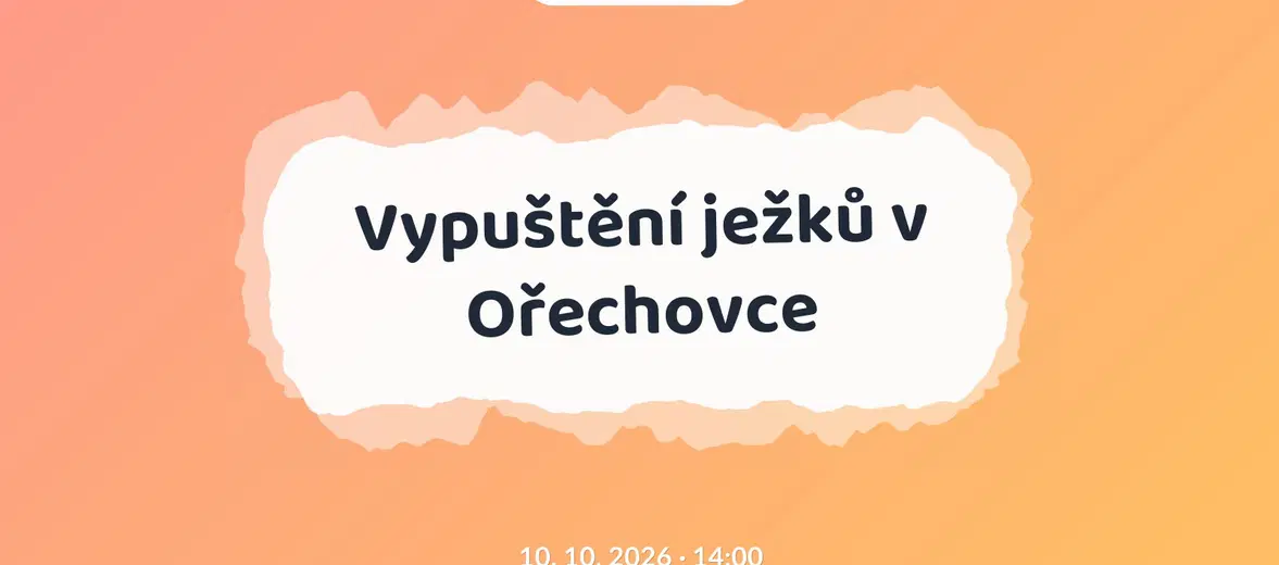 Vypuštění ježků v Ořechovce – příroda a Zvířátka, Říčany