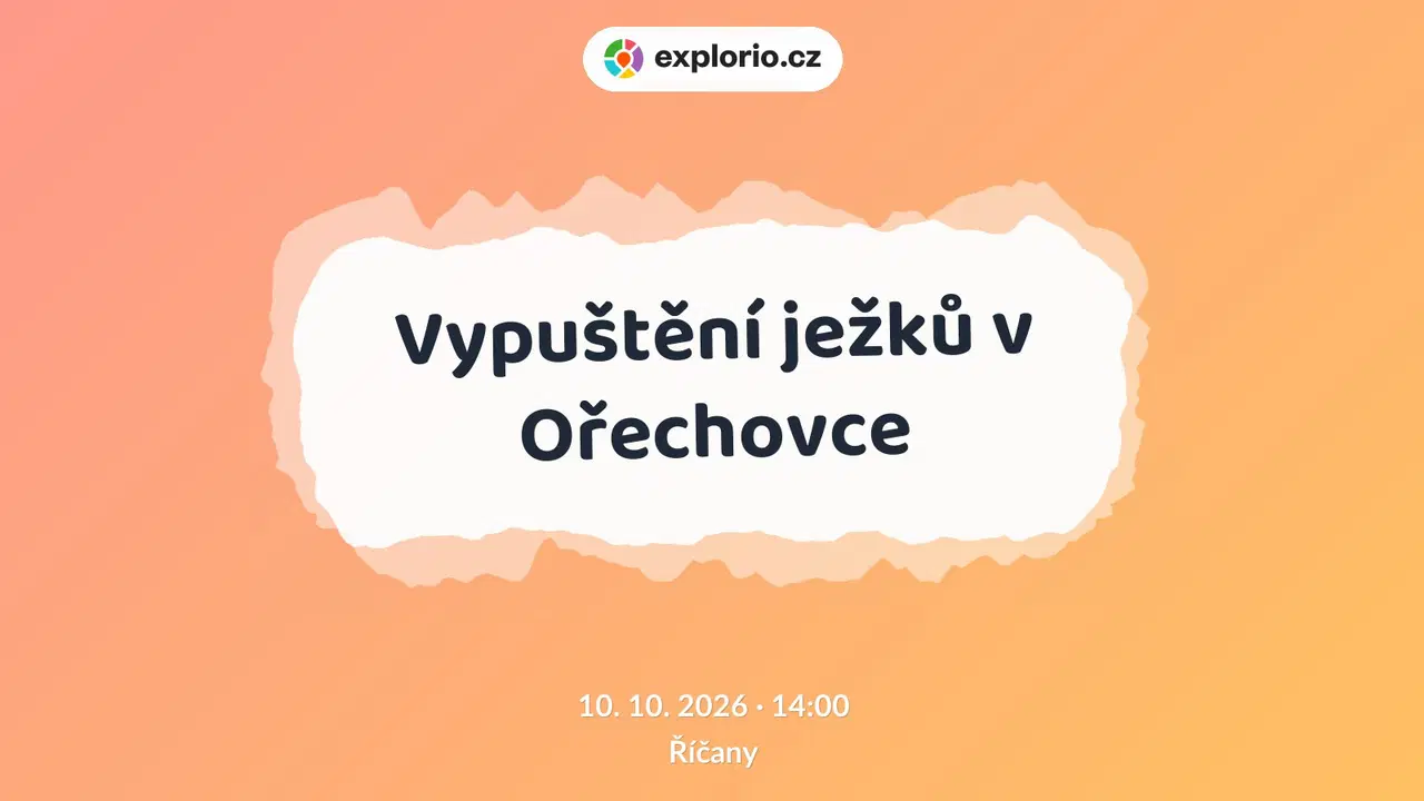 Vypuštění ježků v Ořechovce – příroda a Zvířátka, Říčany