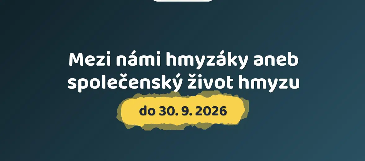 Mezi námi hmyzáky aneb společenský život hmyzu – prohlídky a Muzea, Sněžné