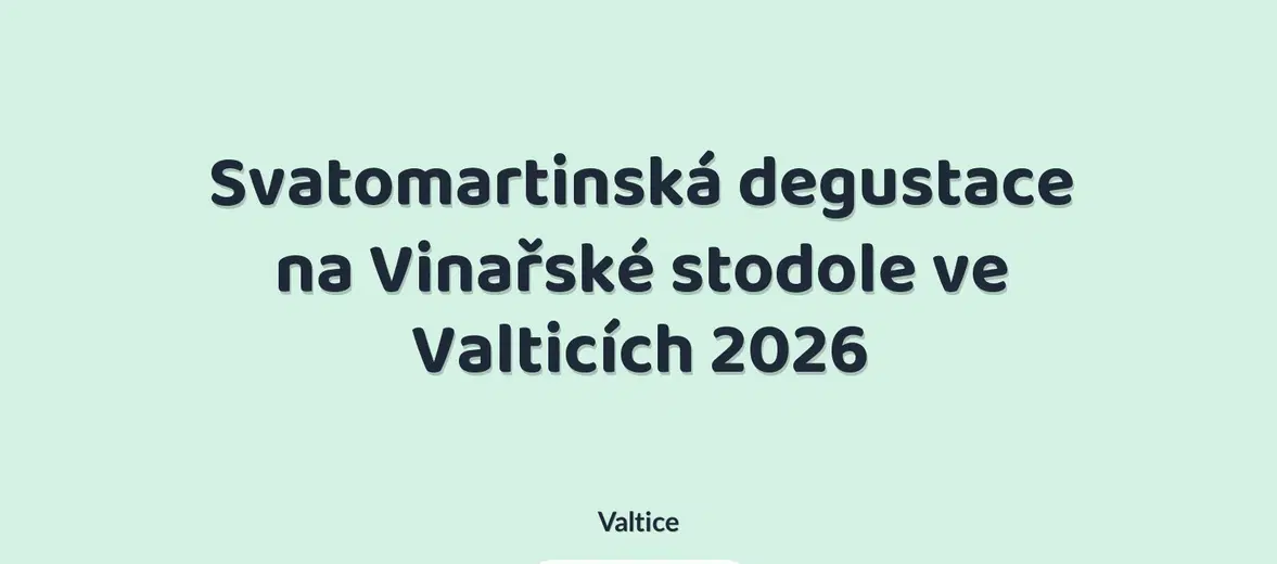 Svatomartinská degustace na Vinařské stodole ve Valticích 2026 – festivaly a Slavnosti, Valtice