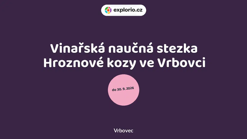 Vinařská naučná stezka Hroznové kozy ve Vrbovci – festivaly a Slavnosti, Vrbovec