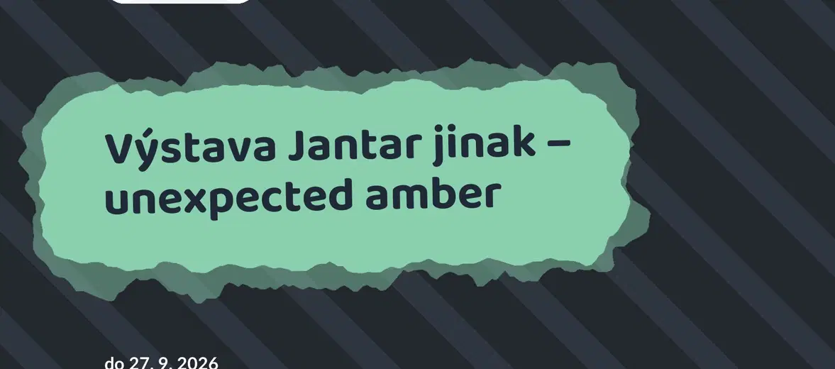 Výstava Jantar jinak – unexpected amber – prohlídky a Muzea, Turnov