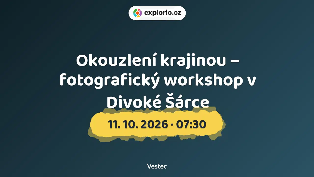 Okouzlení krajinou – fotografický workshop v Divoké Šárce – tvořivé dílny a Workshopy, Vestec