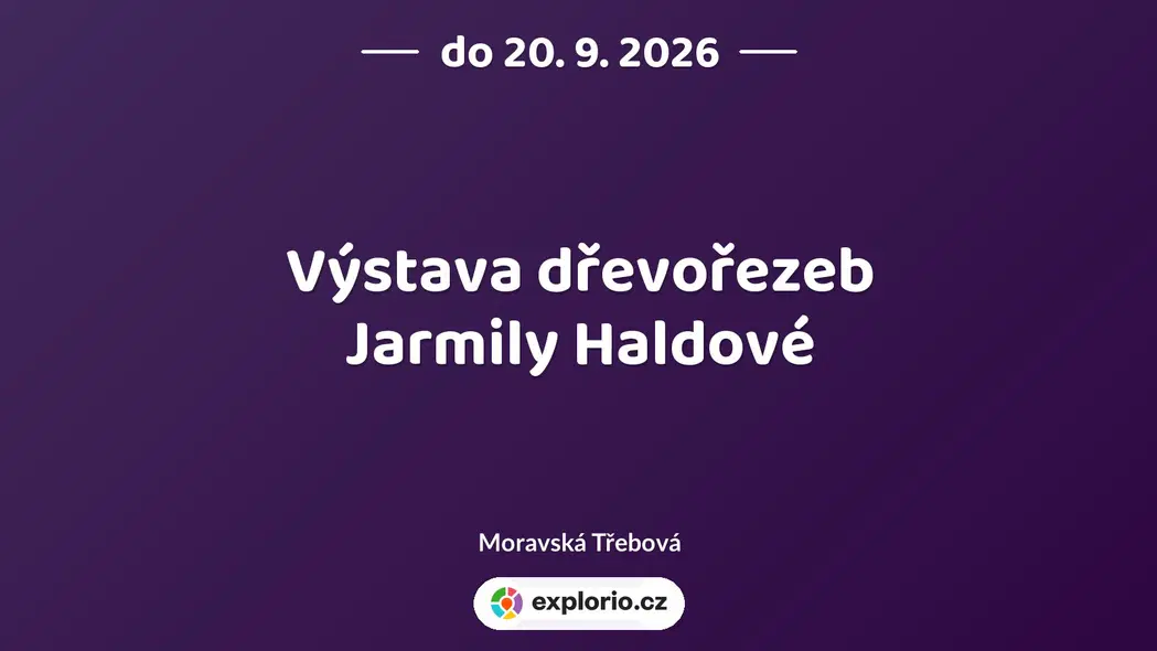 Výstava dřevořezeb Jarmily Haldové – prohlídky a Muzea, Moravská Třebová