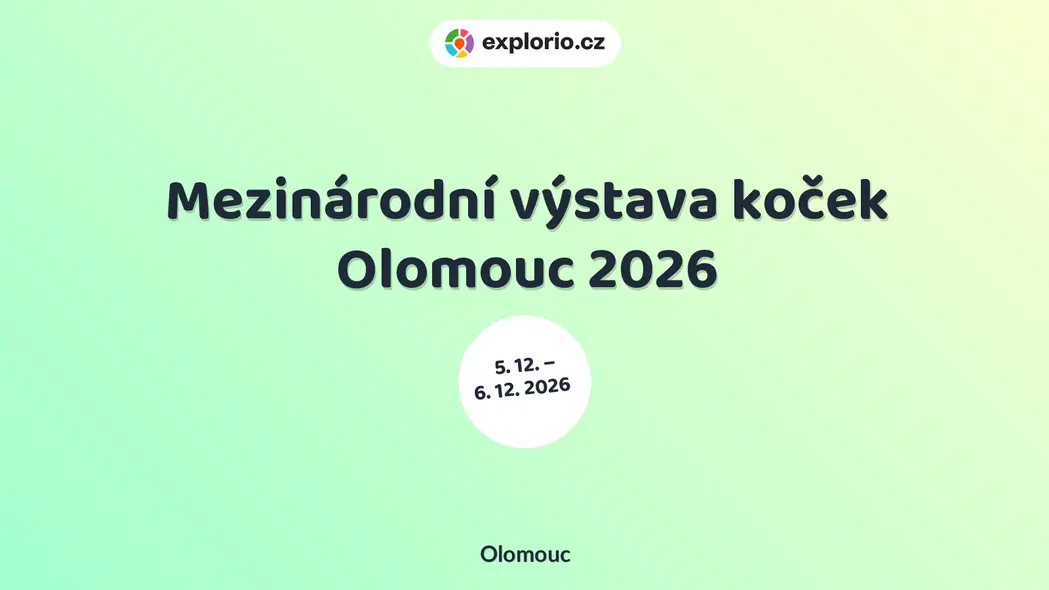 Mezinárodní výstava koček Olomouc 2026 – prohlídky a Muzea, Olomouc