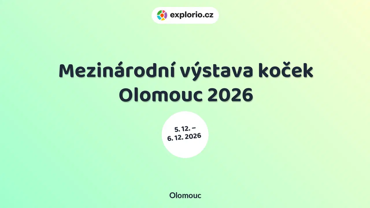 Mezinárodní výstava koček Olomouc 2026 – prohlídky a Muzea, Olomouc