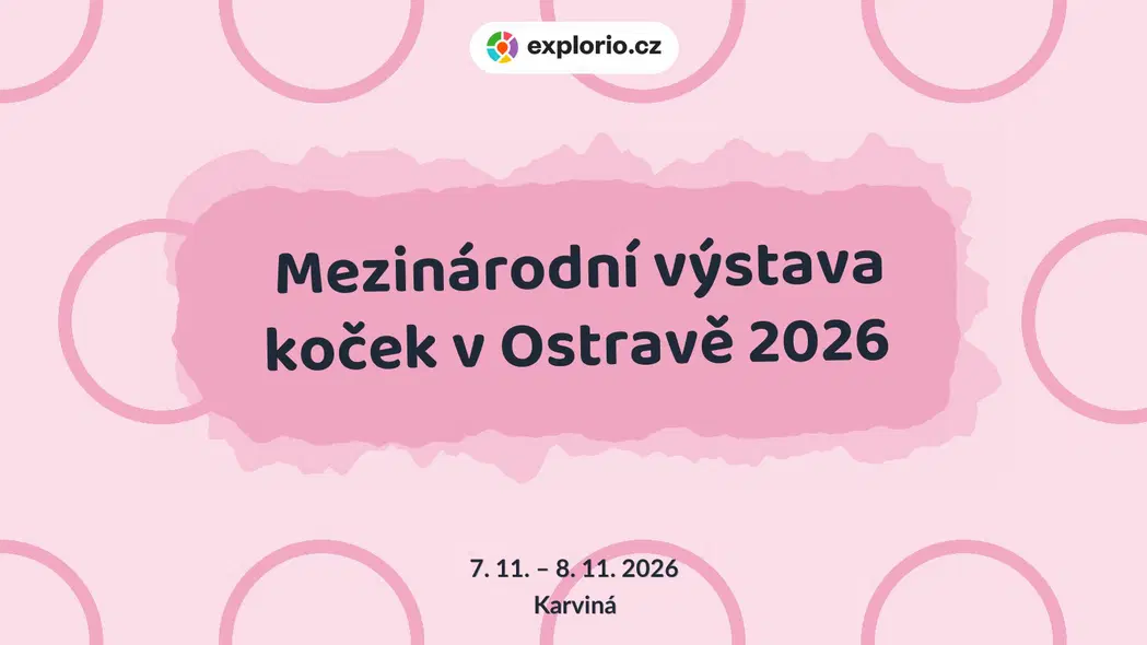 Mezinárodní výstava koček v Ostravě 2026 – prohlídky a Muzea, Karviná