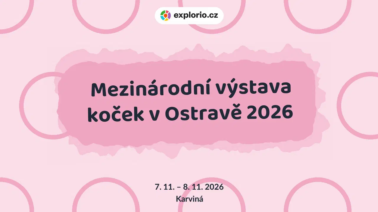 Mezinárodní výstava koček v Ostravě 2026 – prohlídky a Muzea, Karviná