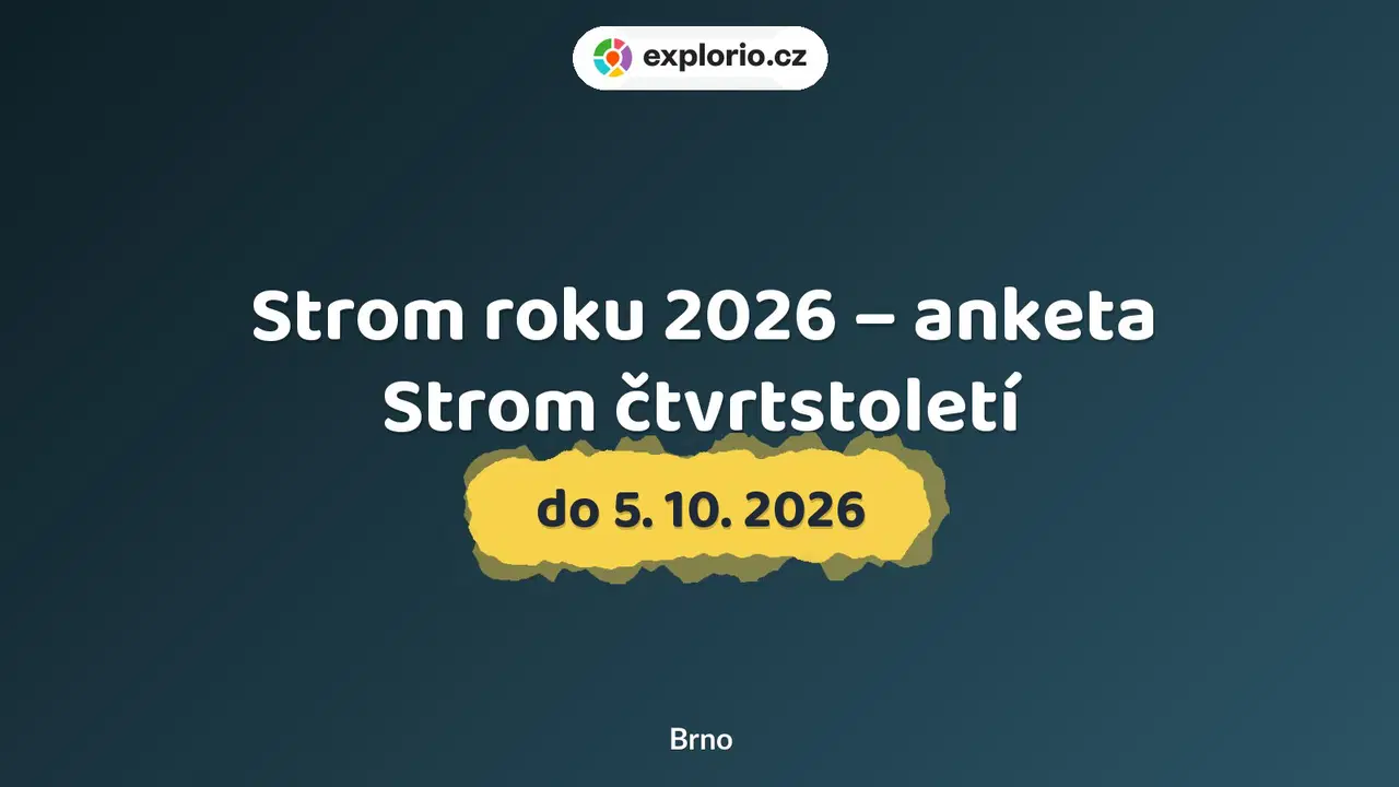 Strom roku 2026 – anketa Strom čtvrtstoletí – příroda a Zvířátka, Brno
